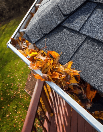 common roofing problems sydney