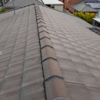 Edmondson Park Roof Inspection Report